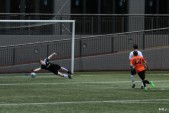 IMG_7309.JPG