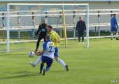 IMG_3380.JPG