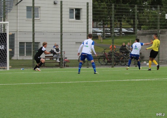 IMG_7050.JPG
