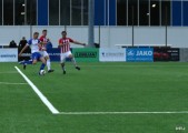 IMG_2229.JPG
